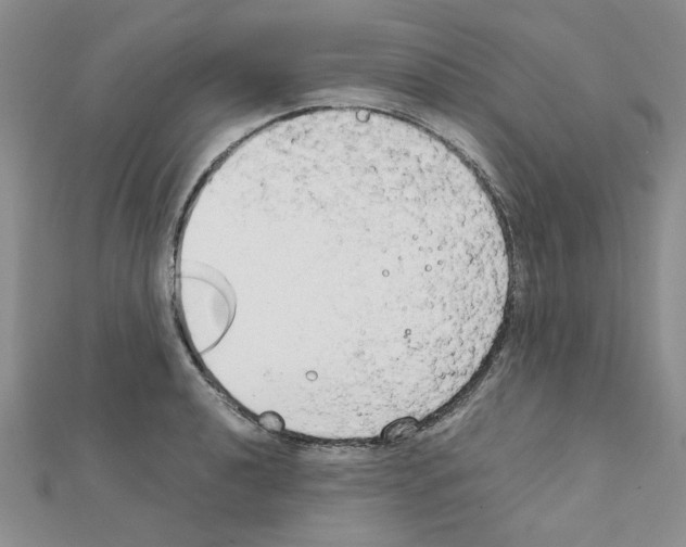X0000111231040200908131118