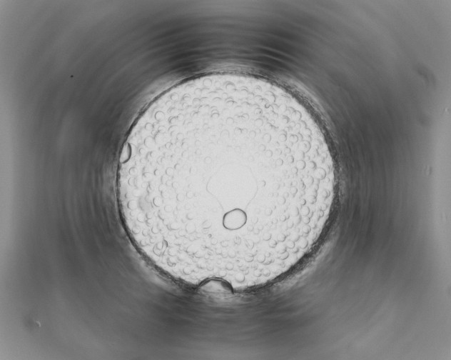 X0000111231041200908131118