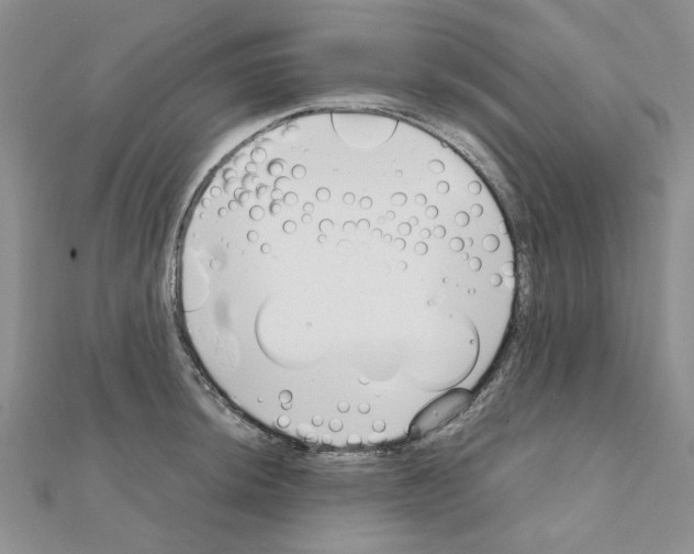 X0000111231044200908131118