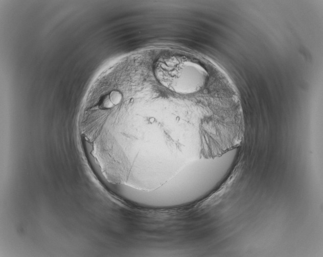 X0000111231045200908131118