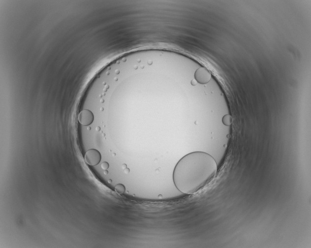 X0000111231046200908131118
