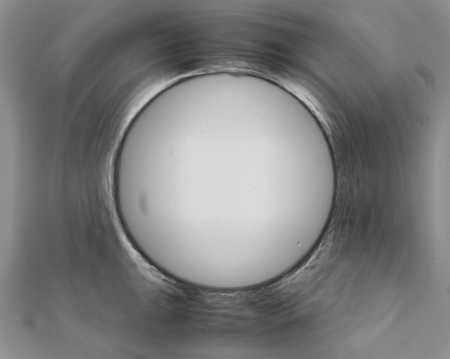 X0000111231047200908131118