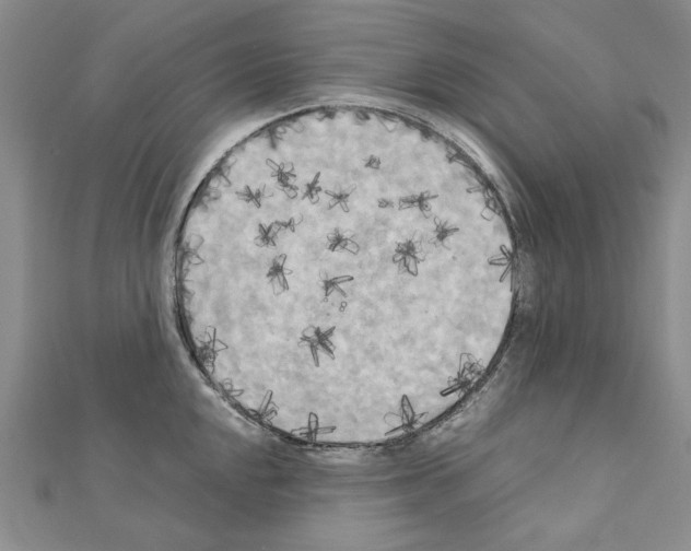 X0000111231048200908131119