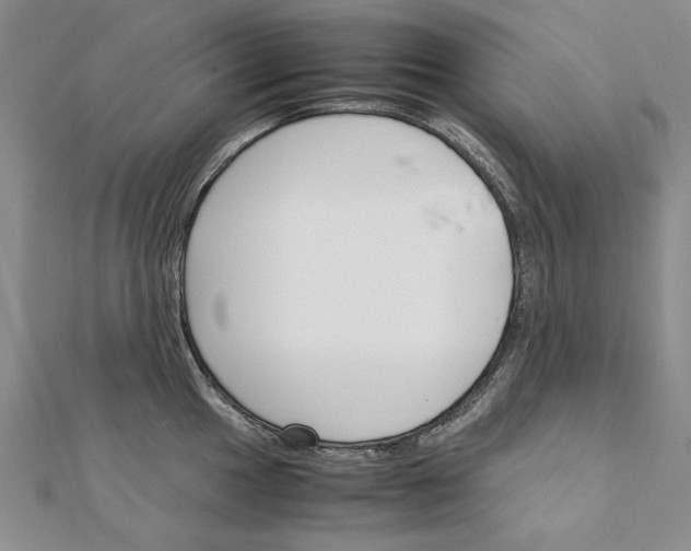 X0000111231049200908131119