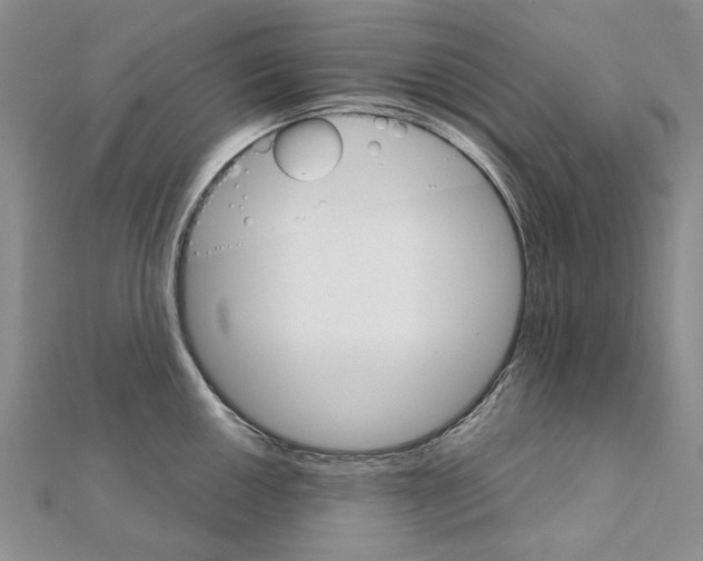 X0000111231050200908131119