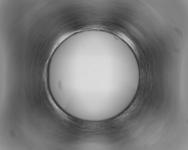 X0000111231055200908131119