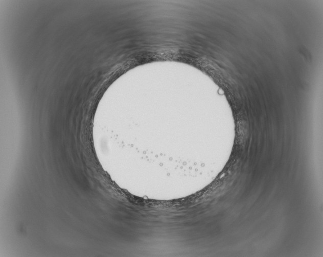 X0000111231057200908131118