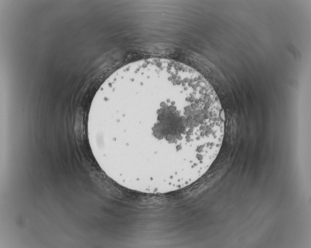 X0000111231058200908131118