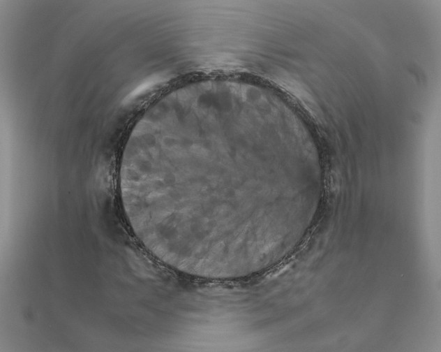 X0000111231063200908131118