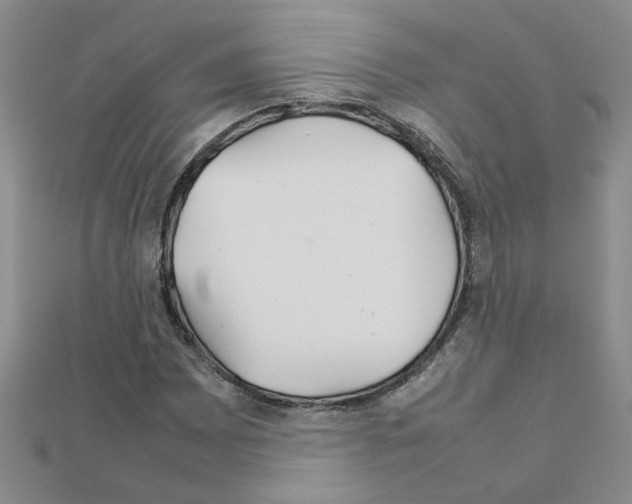 X0000111231065200908131118