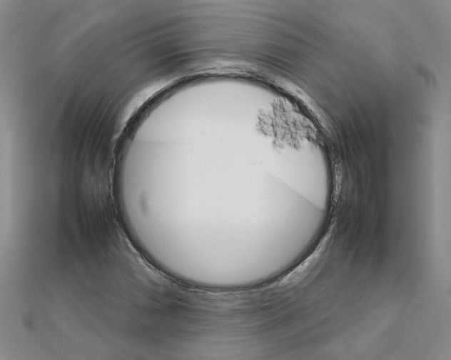X0000111231066200908131118