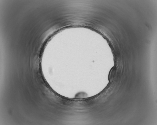 X0000111231067200908131118