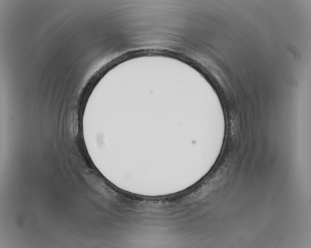 X0000111231069200908131118