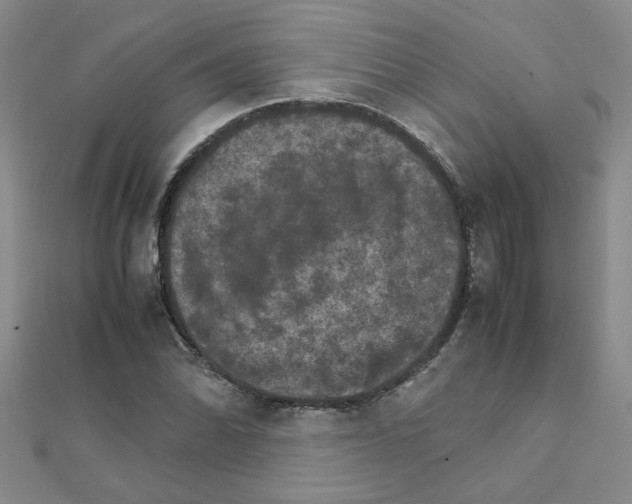 X0000111231070200908131118