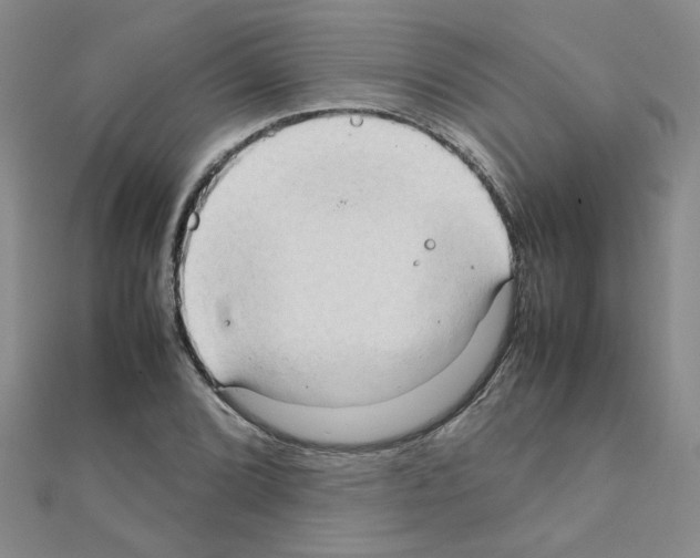 X0000111231072200908131118