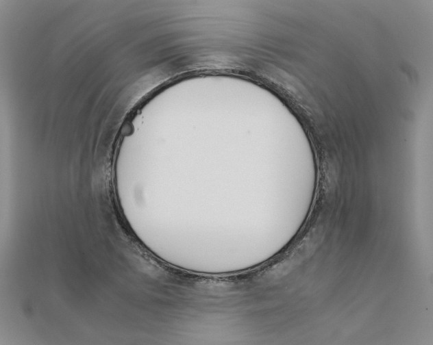 X0000111231073200908131118