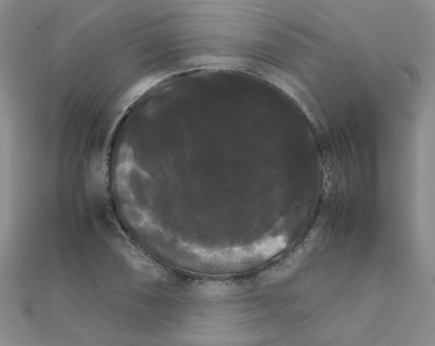 X0000111231074200908131118