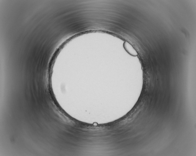 X0000111231076200908131118
