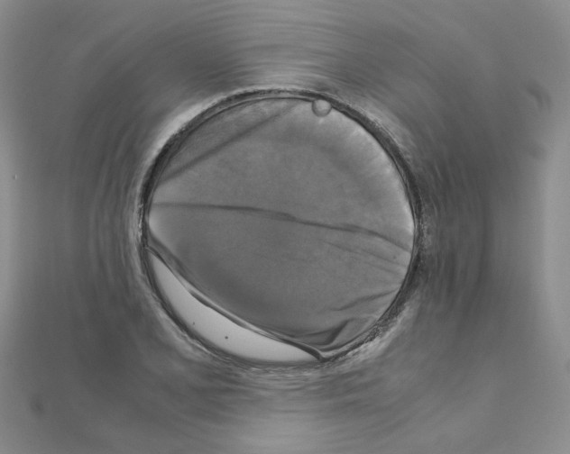 X0000111231077200908131118
