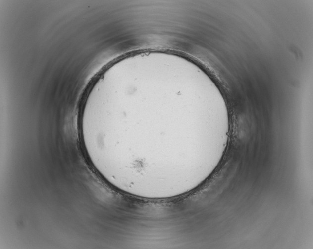 X0000111231078200908131118