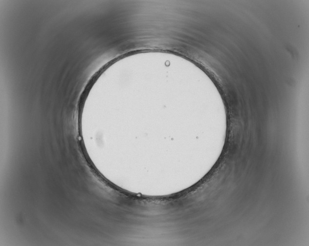 X0000111231079200908131118