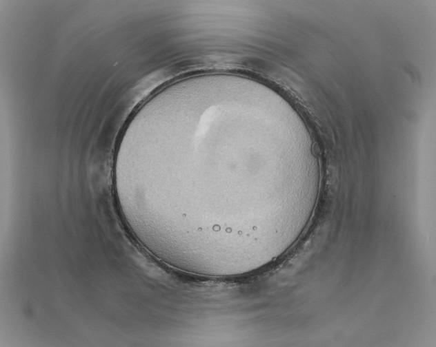 X0000111231081200908131118