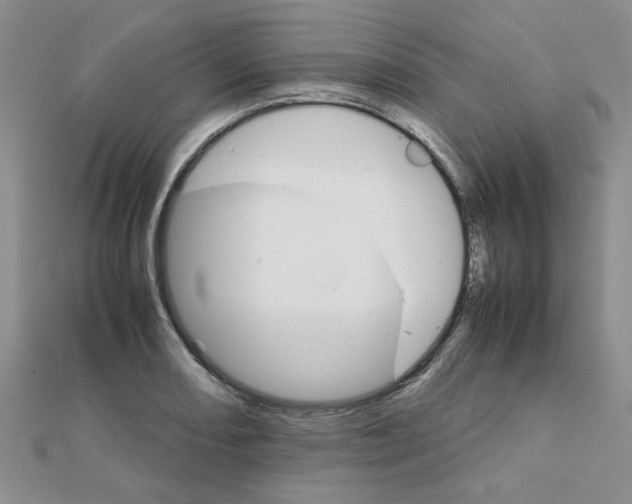 X0000111231082200908131118
