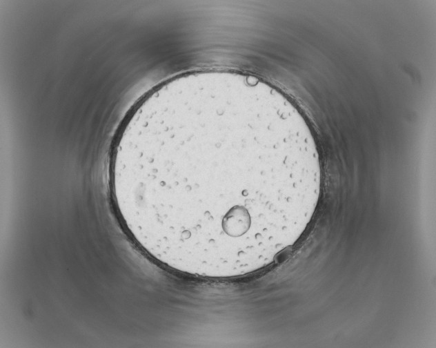 X0000111231083200908131118
