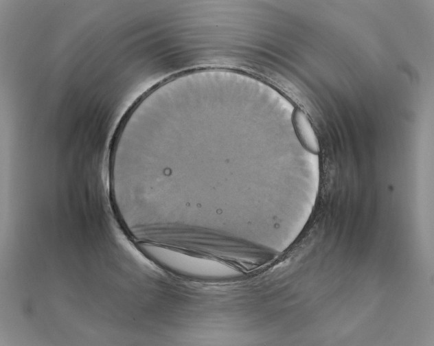 X0000111231084200908131118