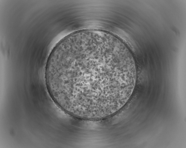 X0000111231086200908131118