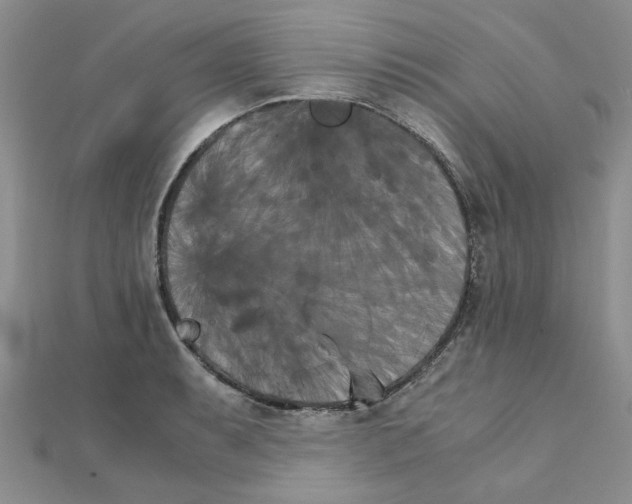 X0000111231087200908131118