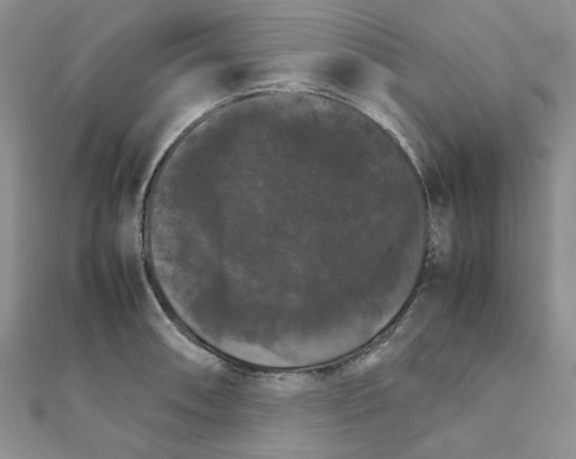 X0000111231090200908131118
