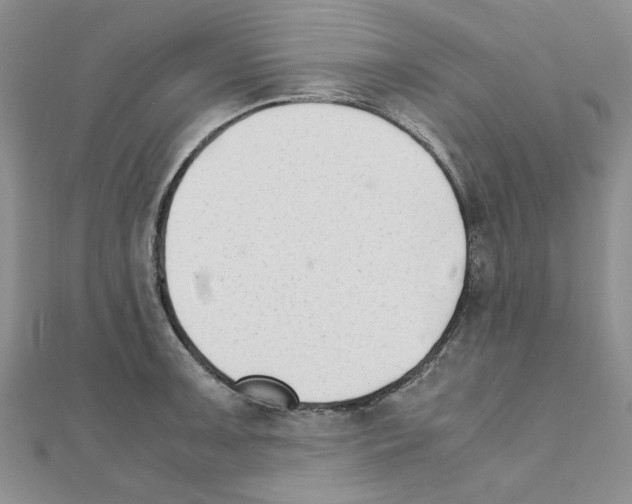 X0000111231091200908131117