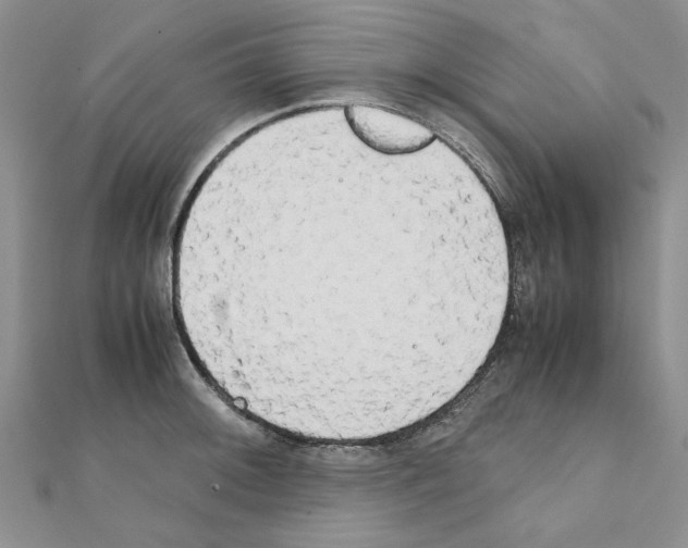 X0000111231092200908131117