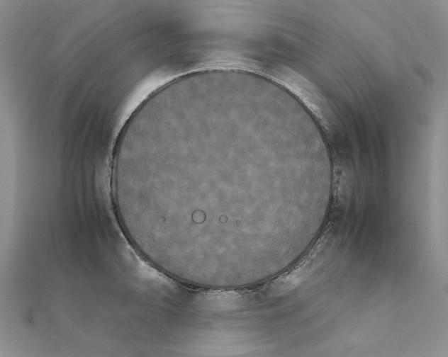 X0000111231094200908131117