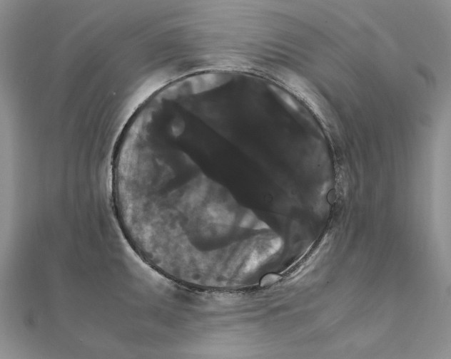 X0000111231095200908131117