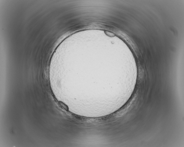 X0000111231097200908131117
