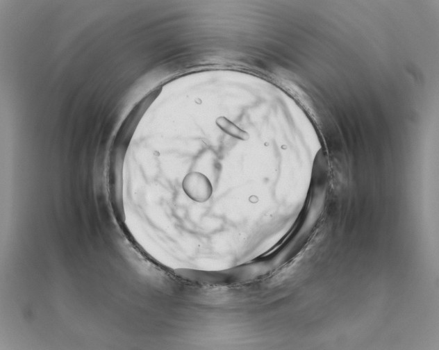 X0000111231098200908131117