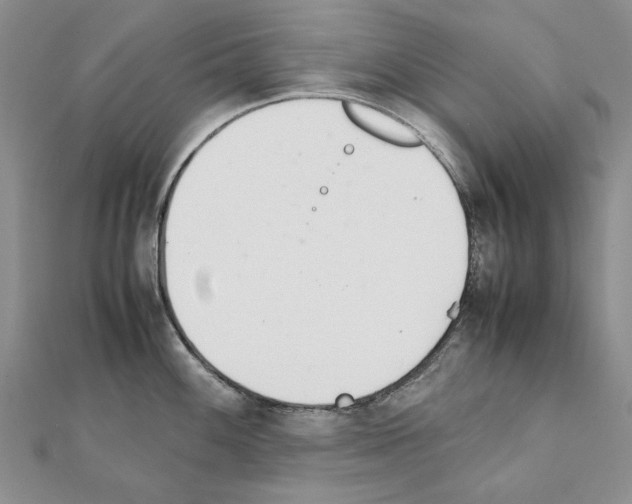 X0000111231100200908131117