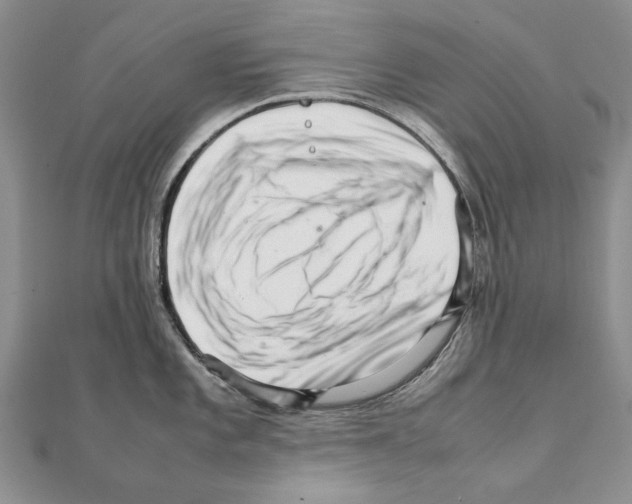 X0000111231101200908131117