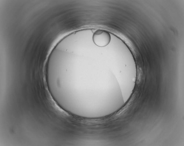 X0000111231102200908131117