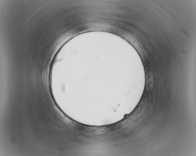 X0000111231103200908131117