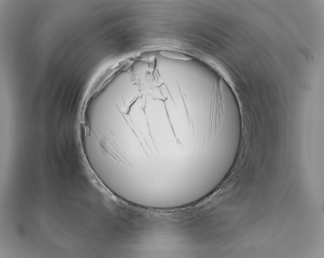 X0000111231104200908131117