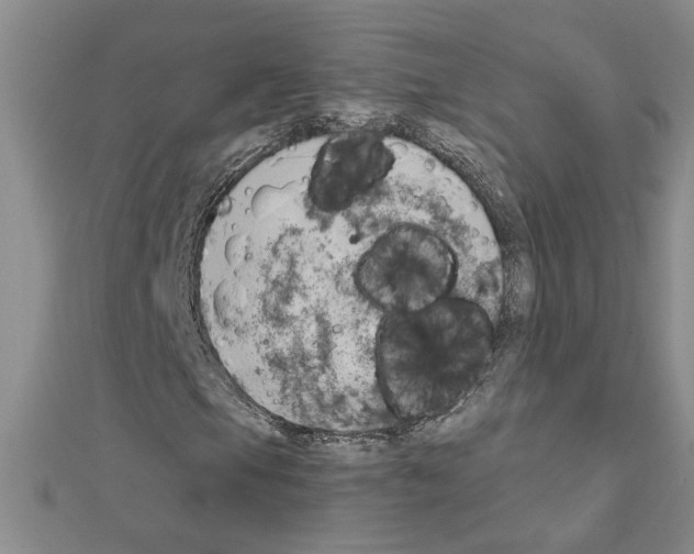 X0000111231105200908131117