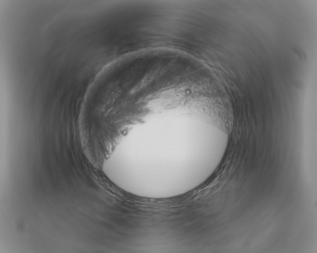 X0000111231106200908131117