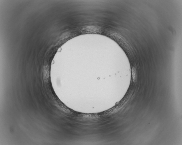 X0000111231107200908131117