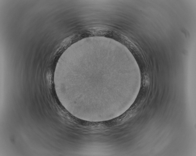 X0000111231108200908131117