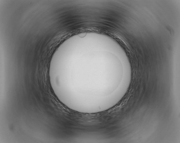 X0000111231111200908131117