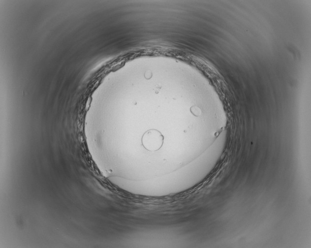 X0000111231112200908131117