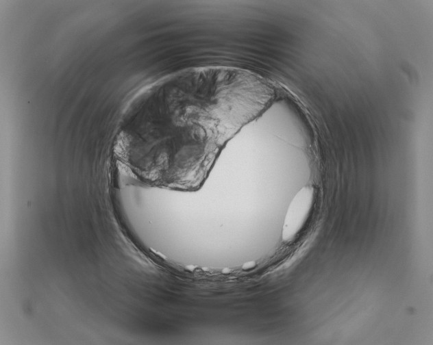 X0000111231113200908131117